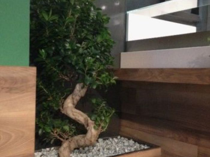 Archisio - Lorenzo Rossi Architetto - Progetto Ristrutturazione interior design