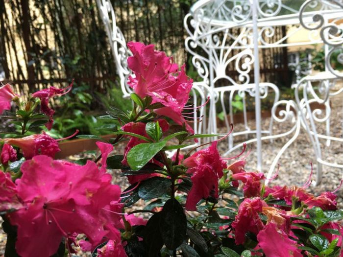 Archisio - Progettare Spazi Verdi - Progetto Unoasi romantica