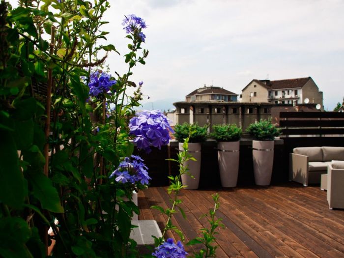 Archisio - Marta Carraro - Progetto Camini verdi