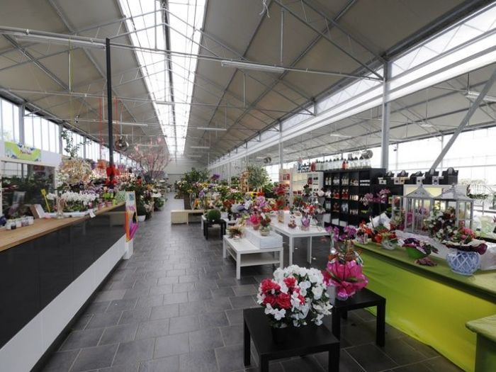 Archisio - Piante Macri - Progetto Il garden