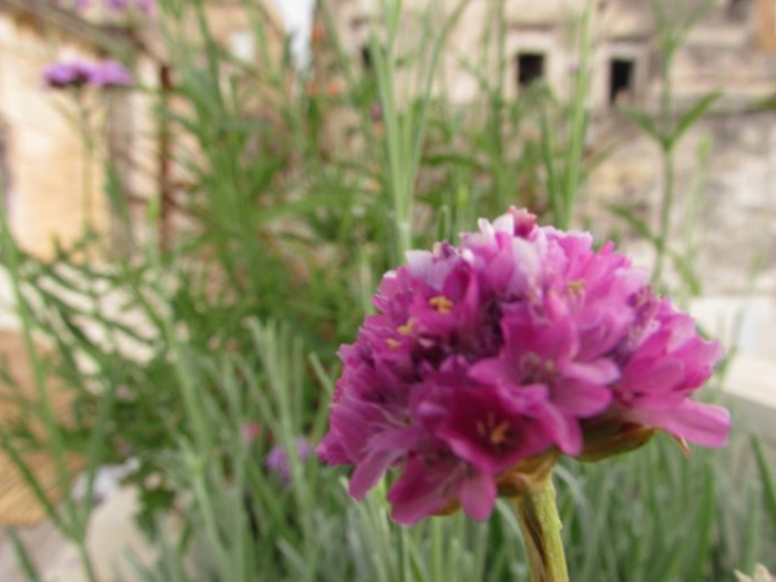 Archisio - Magda Giove - Progetto La nassa