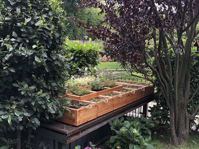 Archisio - Arianna Tomatis Architetto - Progetto Un piccolo tetto giardino