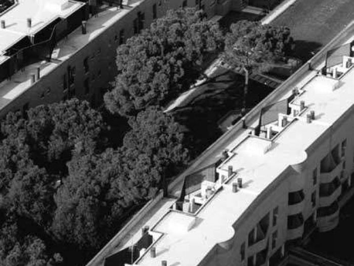 Archisio - Officina Dellarte - Progetto Anno 1998 la casa intorno agli alberi - romaArch Ilaria gatti