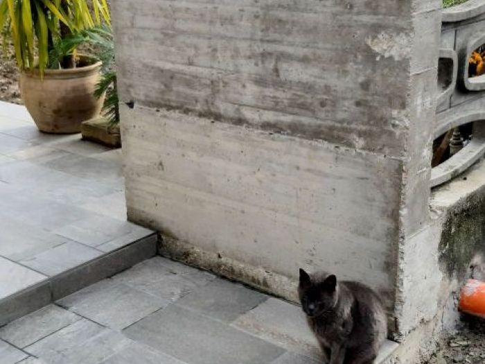 Archisio - Studio Faiazza Architettura E Design - Arch Ascenzio Faiazza - Arch Valeria Verzella - Progetto Cancelli