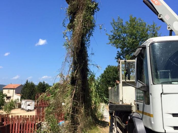 Archisio - Ditta Edile Di Farruggia Giuseppe - Progetto Movimentazione terra