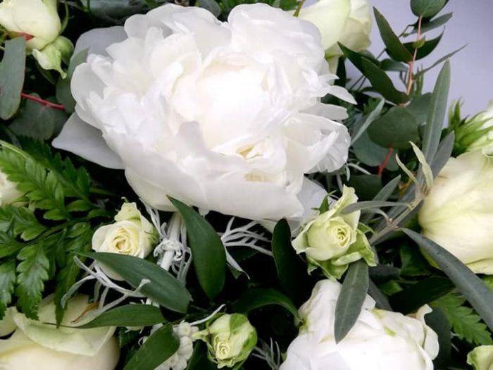 Archisio - Robi Bonaita Alessio Bonaita Fabiano Bonaita - Progetto Le composizioni di ornella