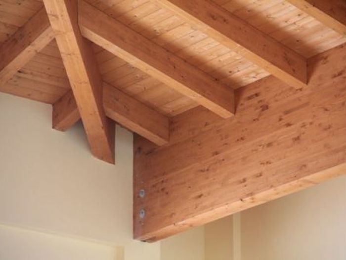 Archisio - Filippo Madonia - Progetto Scuola media a pioppo