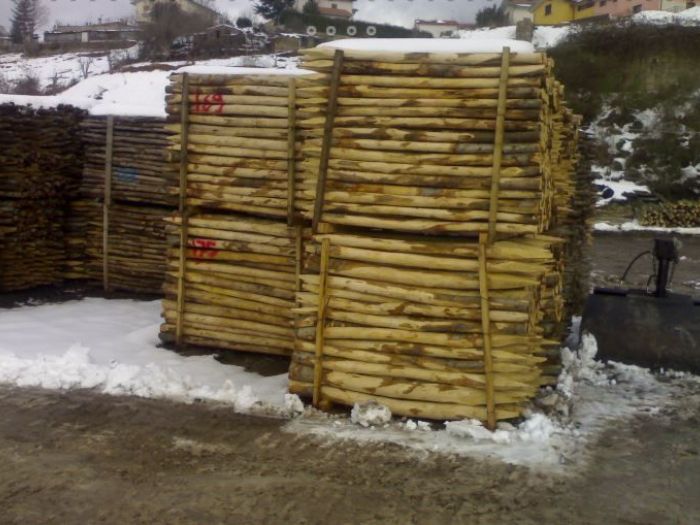 Archisio - Edilizia Ctm srl - Progetto Paleria