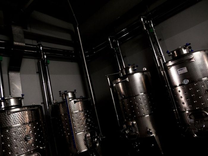 Archisio - Manuel Benedikter - Progetto Vineyard cobue