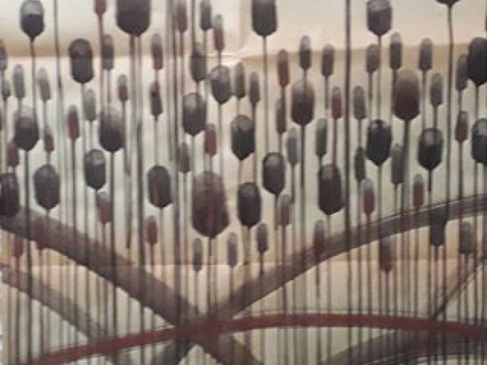 Archisio - Giovanna Somai - Progetto Nero dripping