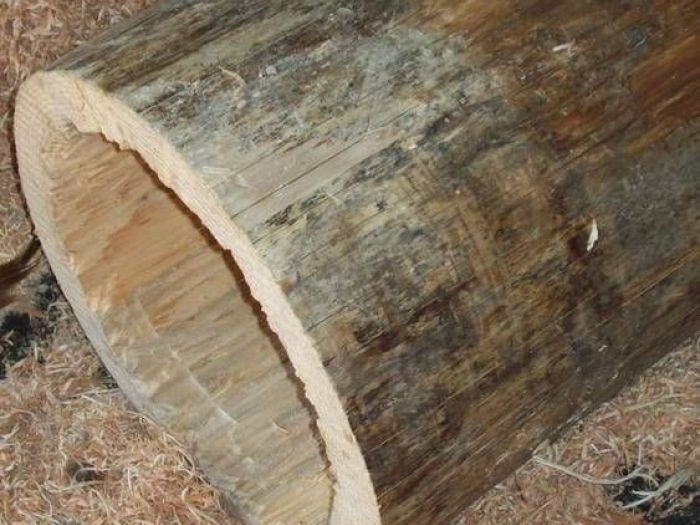 Archisio - Falegnameria Ferruzzi - Progetto Falegnameria