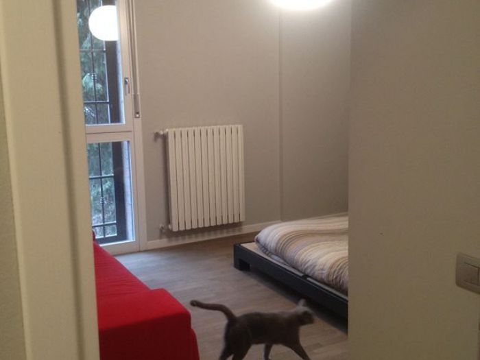 Archisio - Fernando Soliani - Progetto Nuove visioni