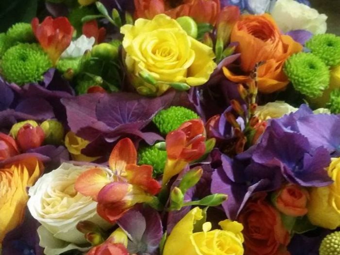 Archisio - Massarroni - Vivai Piante - Garden - Progetto Vivai e piante