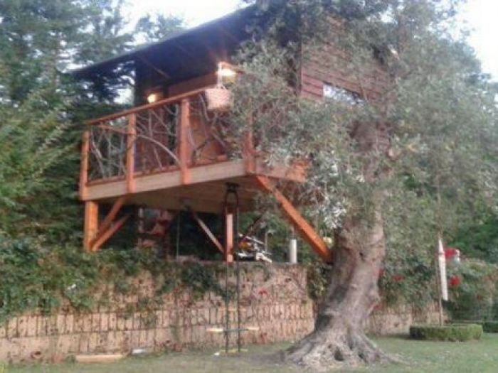 Archisio - Casalberi - Progetto Casetta sullolivo