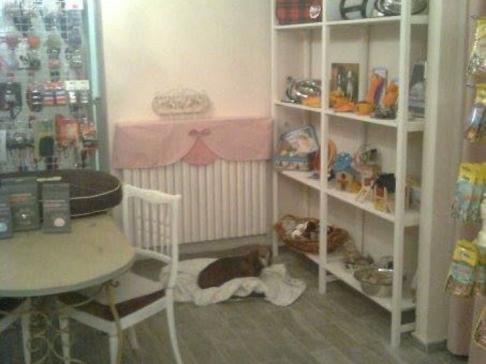 Archisio - Falegnameria Restauro Alaimo - Progetto Restauro mobili armadi realizzati su misura