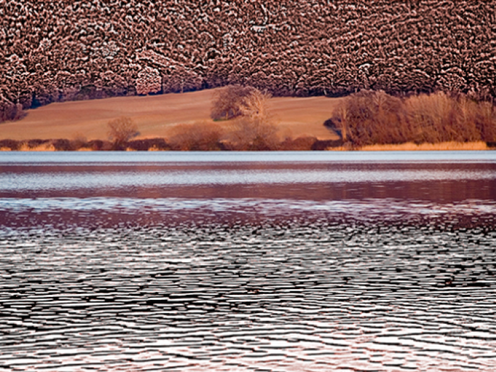 Archisio - Patrizia Savarese - Progetto Fotografia