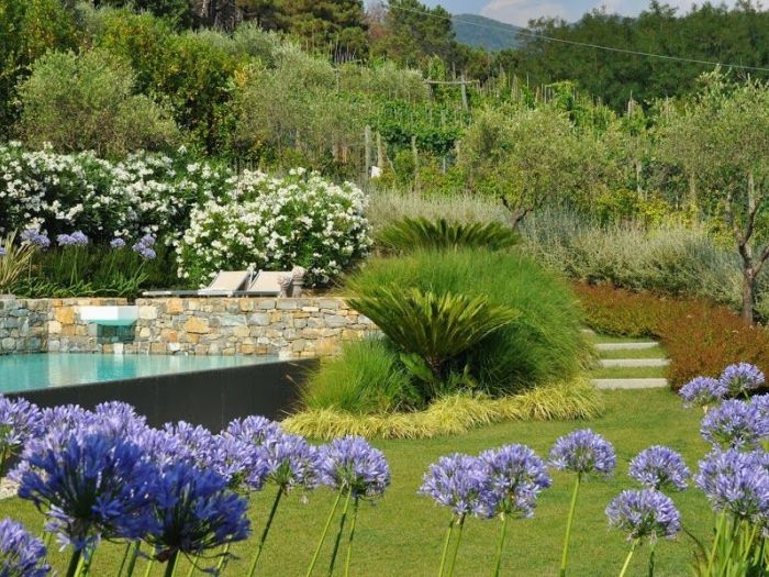 Archisio - Vivai Cantatore - Progetto Piante