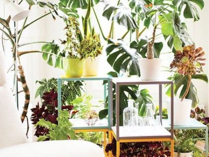 Archisio - Dotto Francesco Consulting Green - Progetto Crea ambiente salubre interno