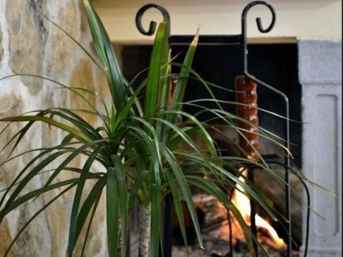 Archisio - Tommaso Barill - Progetto Casa unifamiliare