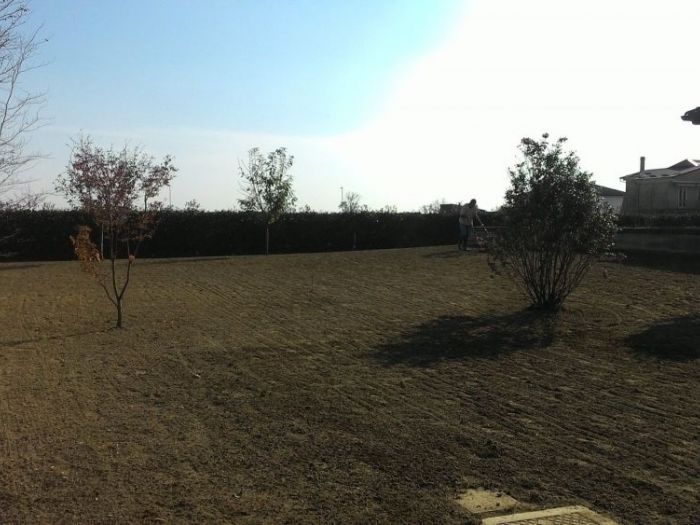 Archisio - Claudio Raiteri Verde Giardino - Progetto Irrigazione rigenerazione pratorigenerazione pratotree climbingisolamento solai