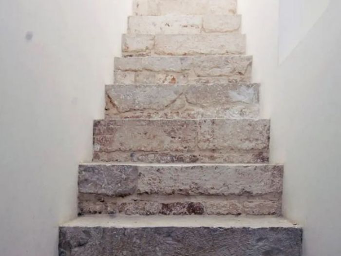 Archisio - Dpstudio - Progetto Cm house