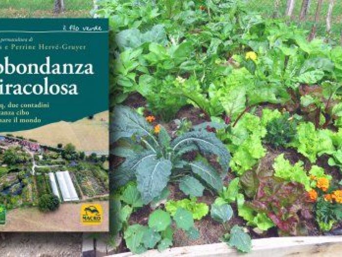 Archisio - Il Cambiamento - Progetto Labbondanza miracolosa che cambier il mondo