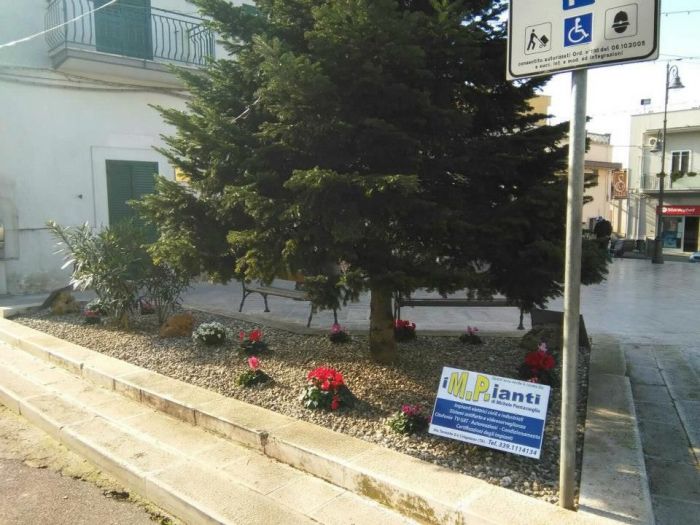 Archisio - Mp Impianti - Progetto Impianti elettrici sul suolo pubblico