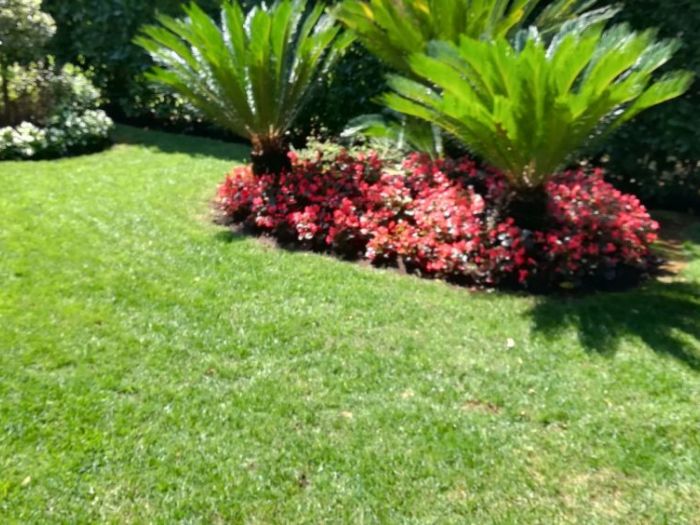 Archisio - Verdein Ss - Progetto Galleria