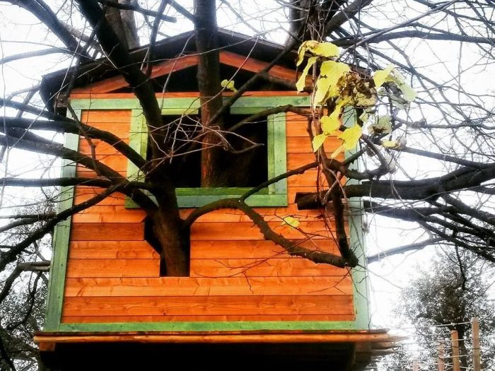 Archisio - Cereda Legnami - Progetto Casetta in legno su misura