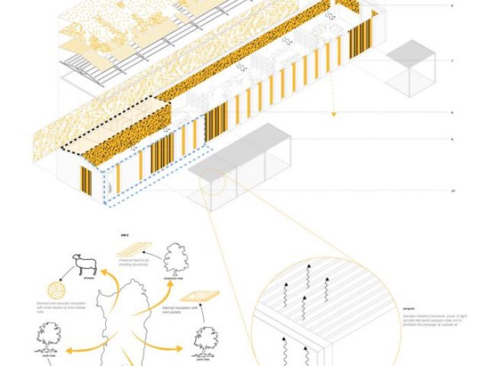Archisio - Circolo A - Progetto Museo militare