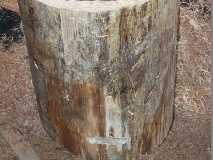 Archisio - Falegnameria Ferruzzi - Progetto Falegnameria