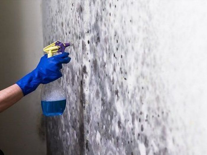 Archisio - N G Color - Progetto Ng color