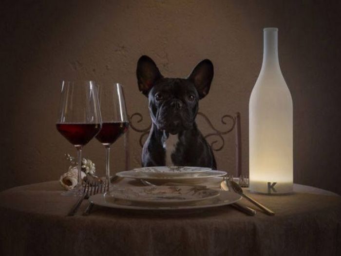 Archisio - Enrica Quattrocchio - Progetto Sale da pranzo