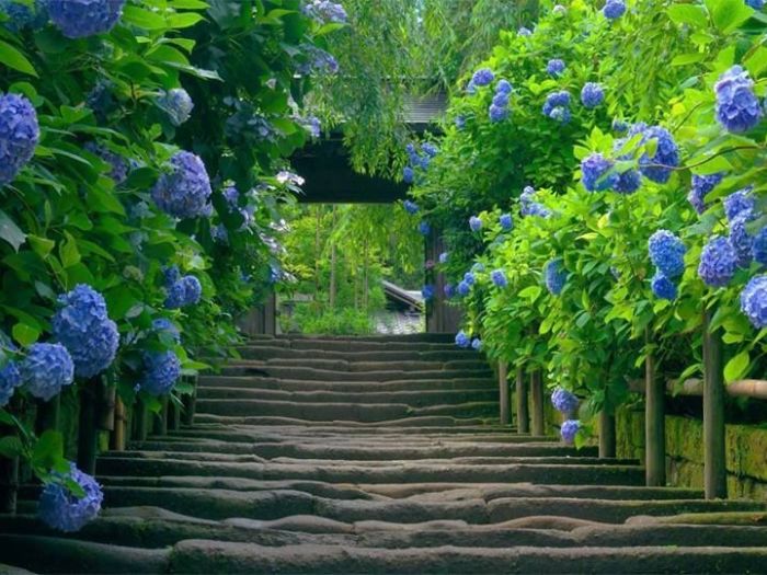 Archisio - Vivai Cantatore - Progetto Piante