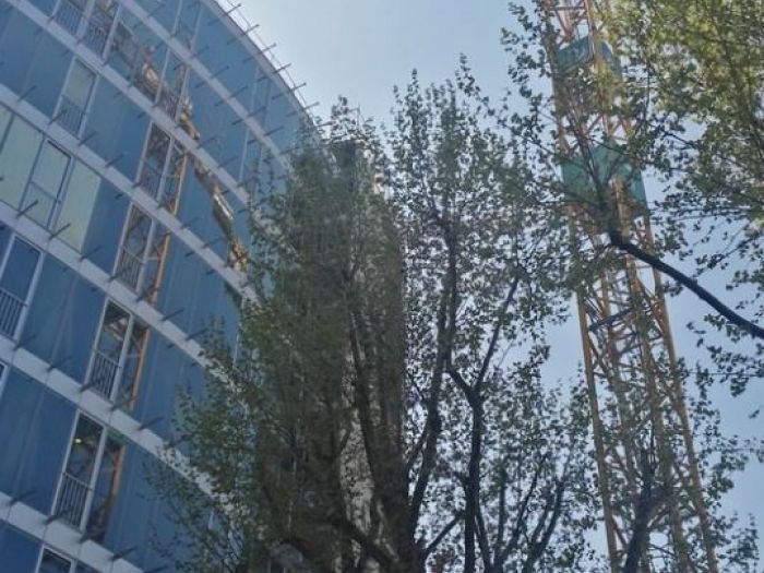 Archisio - Cecchetti Tommaso - Progetto Project management arredi - bocconi urban campus