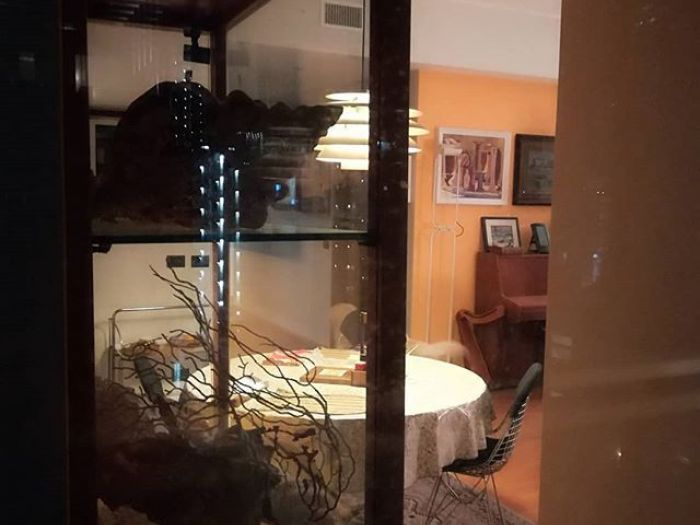 Archisio - Maria Carmen Castellucci - Progetto Interior designer - appartamenti