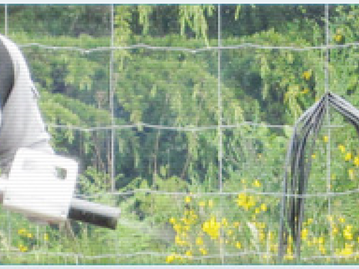 Archisio - La Magica - Progetto Disinfestazioni