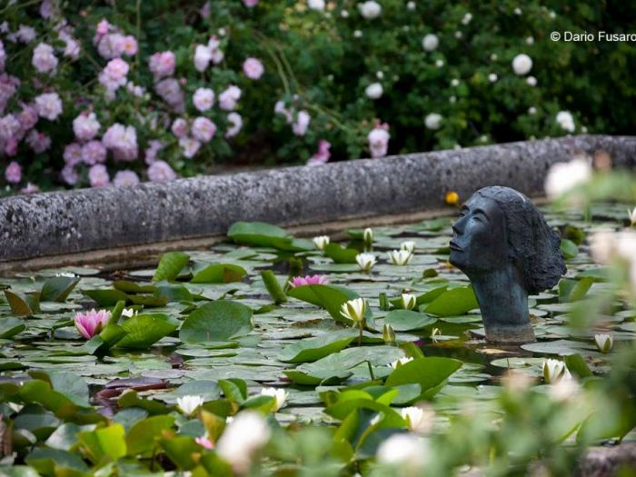 Archisio - Dario Fusaro Garden Photography - Progetto Fiori