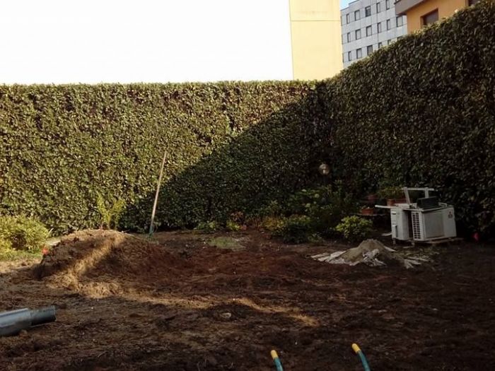 Archisio - I Giardini Dei Tudor - Progetto Manutenzione area verde privato