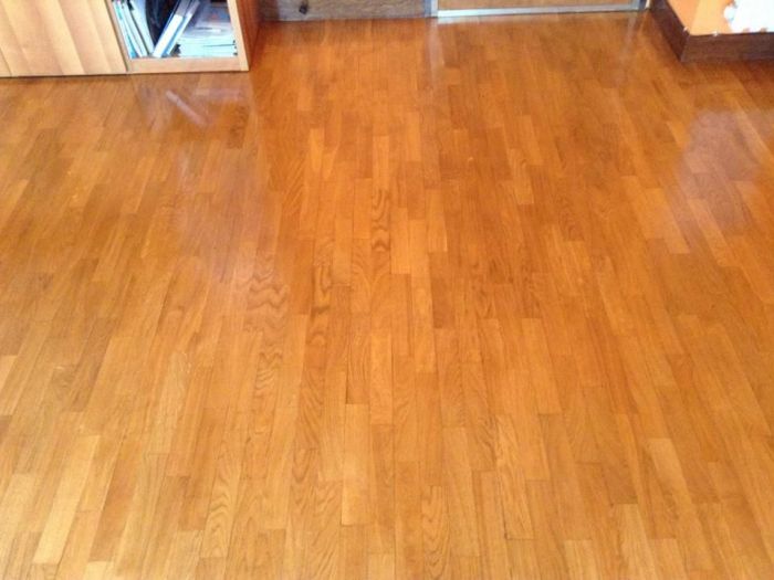 Archisio - Impresa Pulizia Brasiliana - Progetto Impresa di pulizia brasiliana