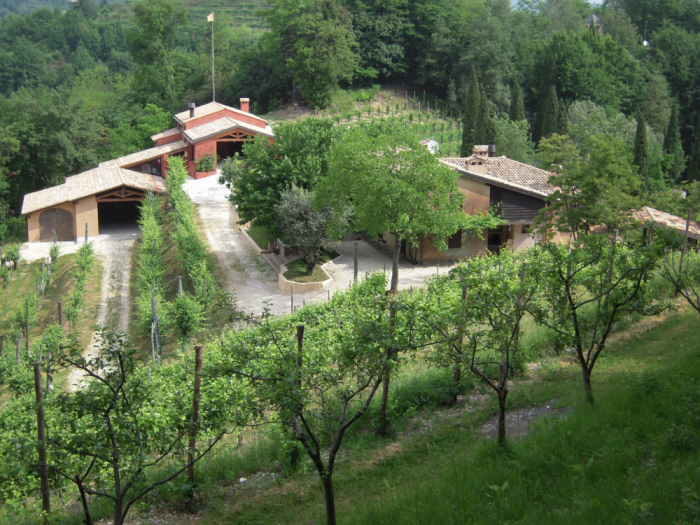 Archisio - Studioarchitettura srl - Progetto Azienda agricola