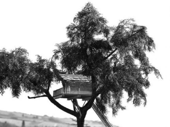 Archisio - Casalberi - Progetto Suite sugli alberi