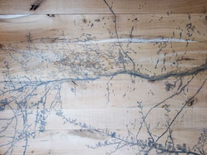 Archisio - Studio Cc - Progetto Lombra del larice