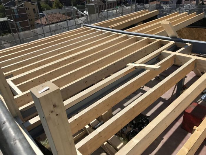 Archisio - Edilnica - Progetto Bio edilizia recupero sottotetti