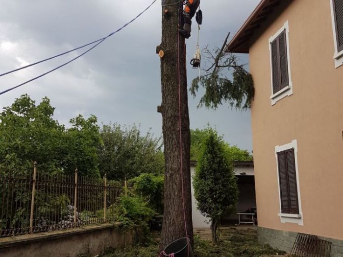 Archisio - I Giardini Dei Tudor - Progetto Realizzazione di giardino