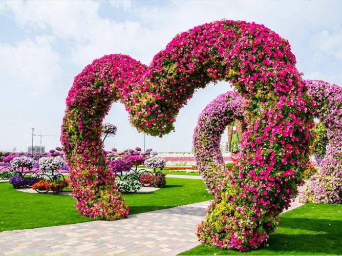 Archisio - Vivai Cantatore - Progetto Piante