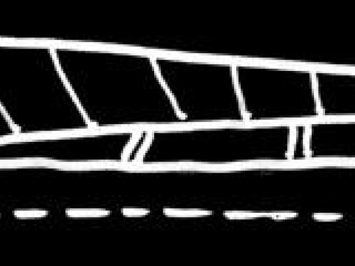 Archisio - Ruggero Lenci - Progetto Concorso per il nuovo stadio di siena