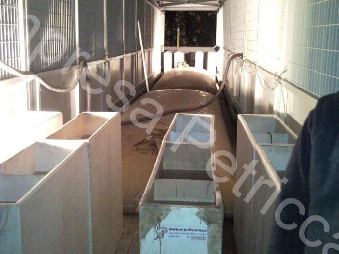 Archisio - Impresa Petricca - Progetto Prove di carico su solai e impalcati