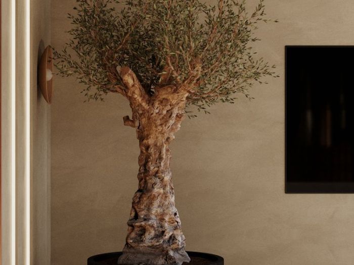 Archisio - Red Head Design - Progetto Camera da letto con spogliatoio