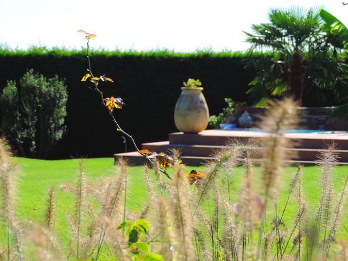 Archisio - Rizzi Giardini - Progetto Parco con sculture